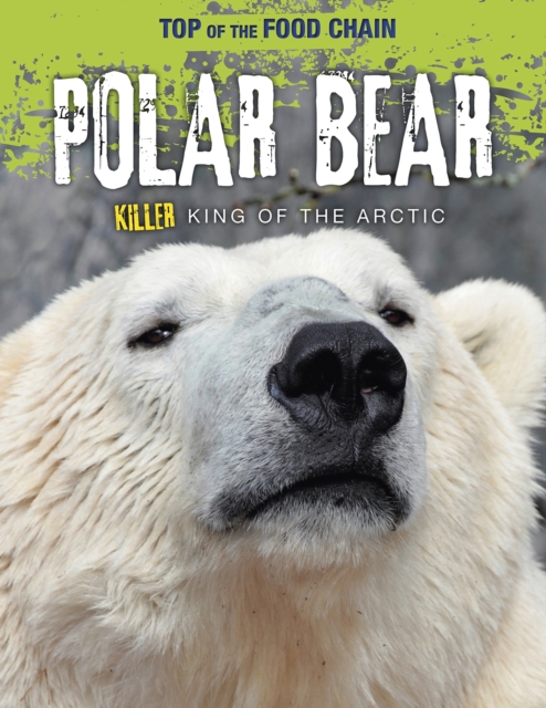 Polar Bear