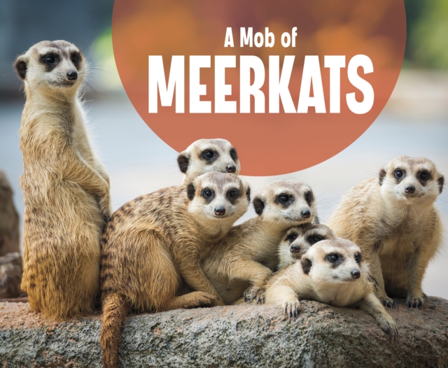 Mob of Meerkats