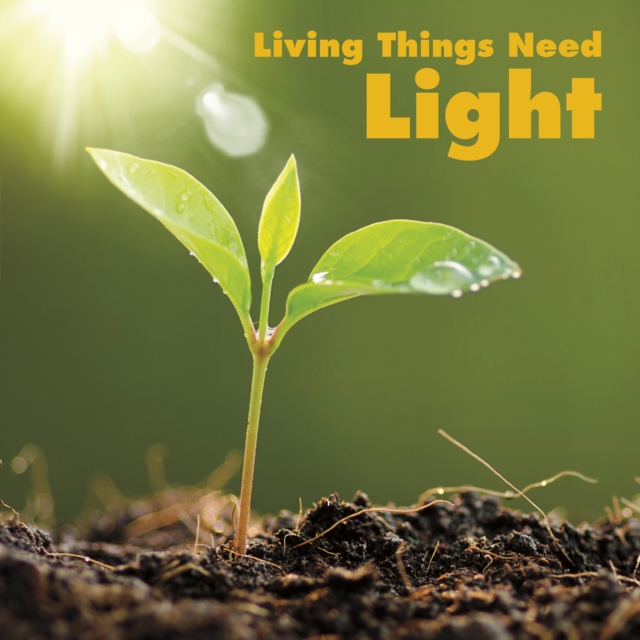 Living Things Need Light