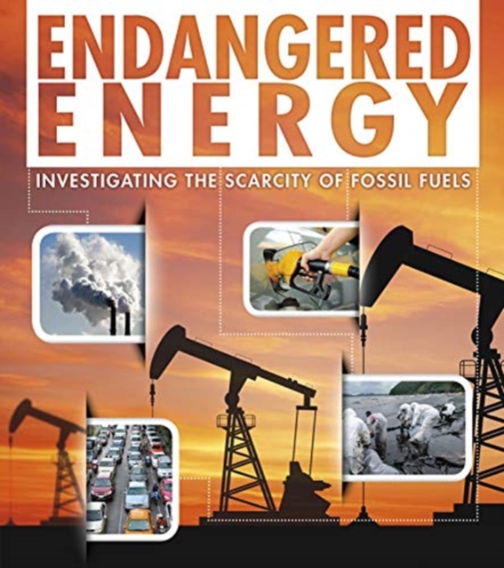 Endangered Energy