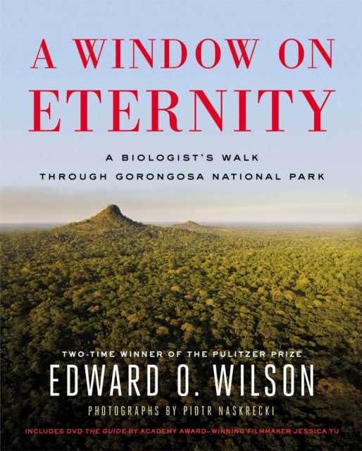 Window on Eternity