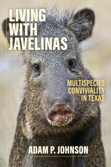Living with Javelinas
