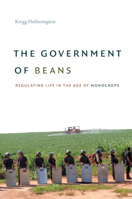 Government of Beans