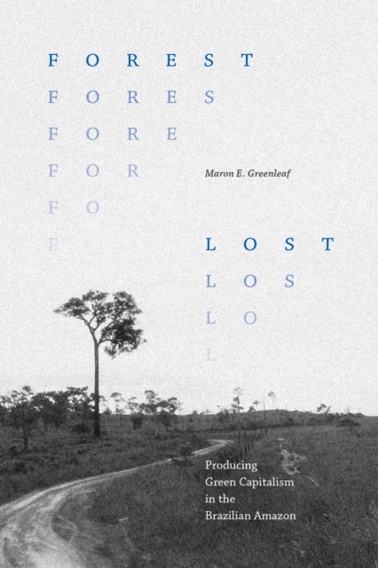 Forest Lost