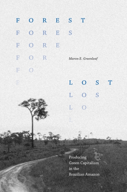 Forest Lost