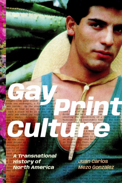 Gay Print Culture