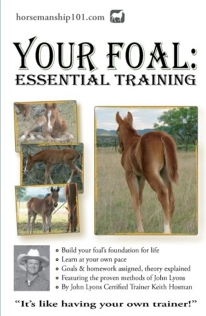 Your Foal