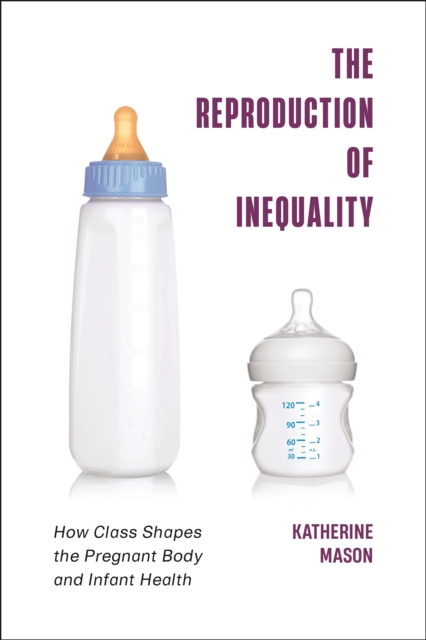 Reproduction of Inequality