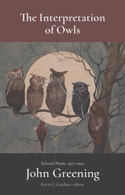 Interpretation of Owls