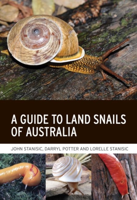 Guide to Land Snails of Australia