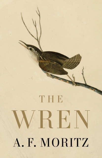 The Wren