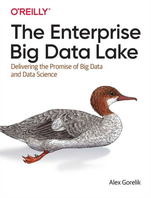 Enterprise Big Data Lake