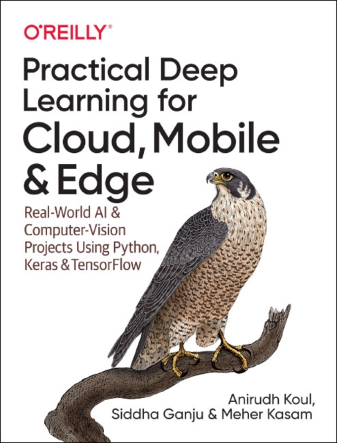 Practical Deep Learning for Cloud and Mobile