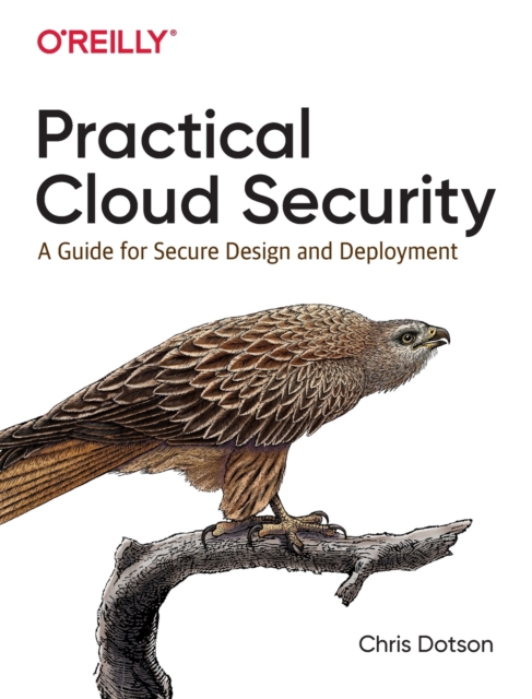 Practical Cloud Security