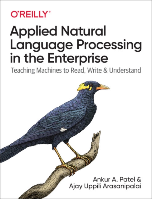 Applied Natural Language Processing in the Enterprise