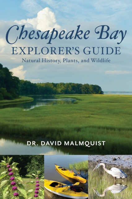 Chesapeake Bay Explorer's Guide