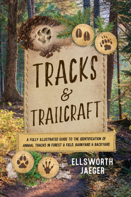 Tracks and Trailcraft