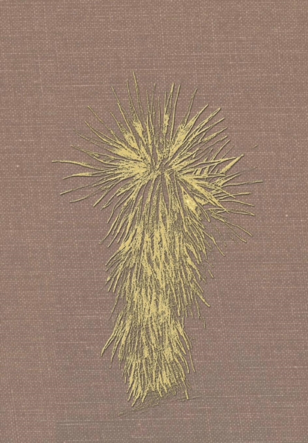 Marfa and Presidio County, Texas