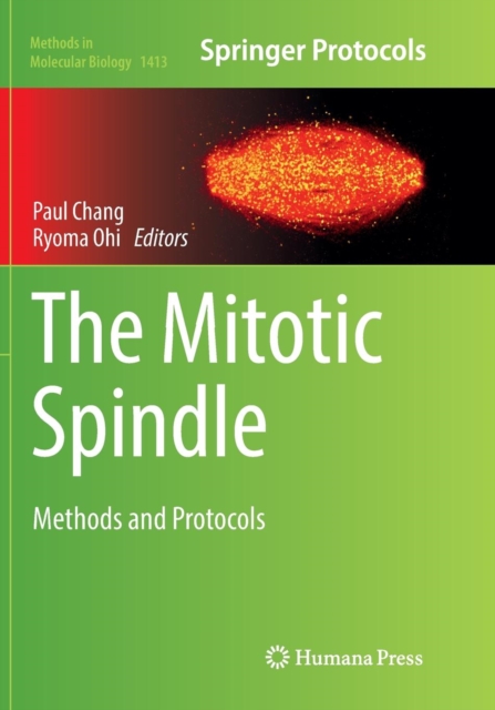 Mitotic Spindle