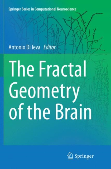 Fractal Geometry of the Brain