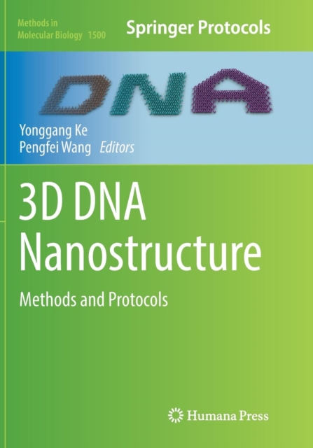 3D DNA Nanostructure