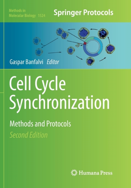 Cell Cycle Synchronization