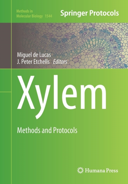 Xylem