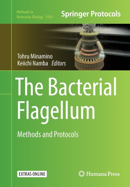 Bacterial Flagellum