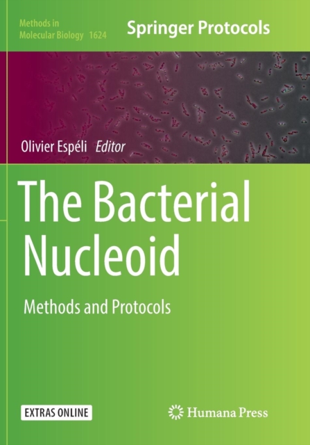 Bacterial Nucleoid