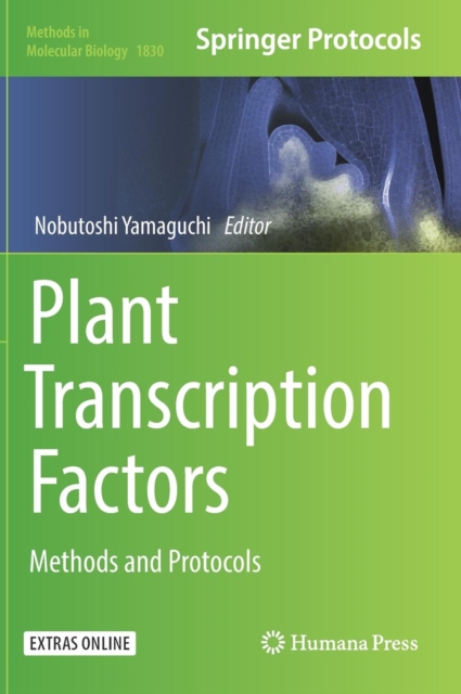 Plant Transcription Factors