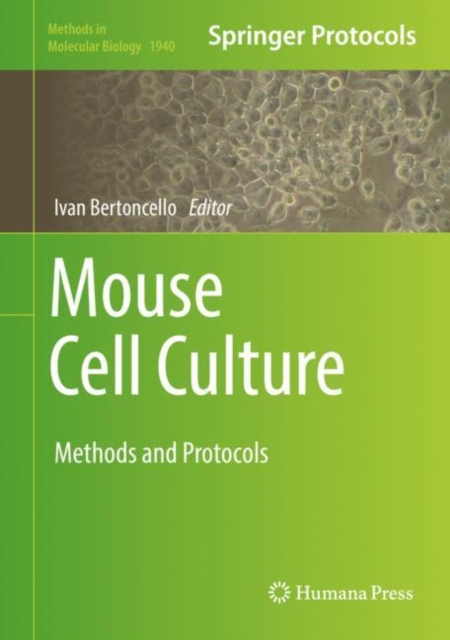 Mouse Cell Culture