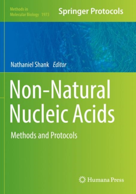 Non-Natural Nucleic Acids