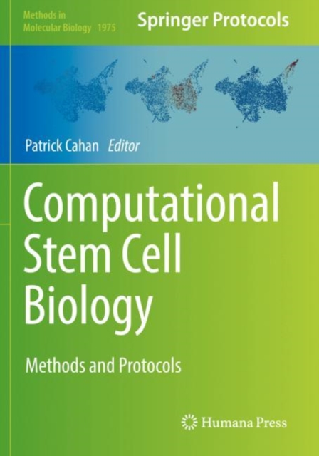 Computational Stem Cell Biology
