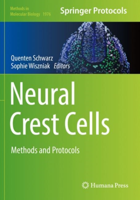 Neural Crest Cells