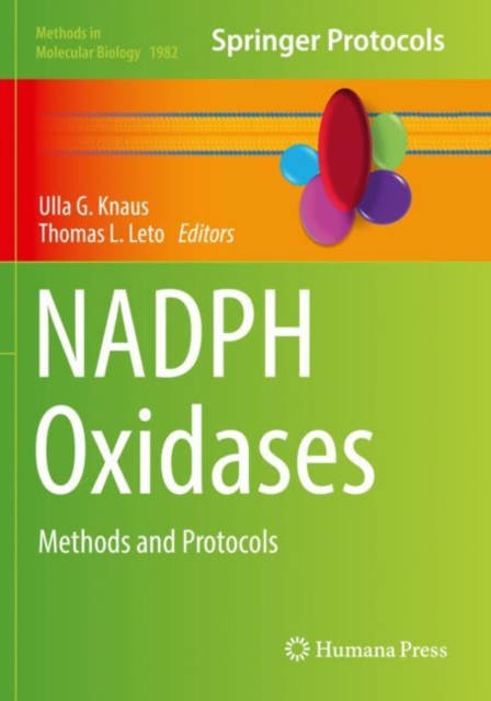 NADPH Oxidases