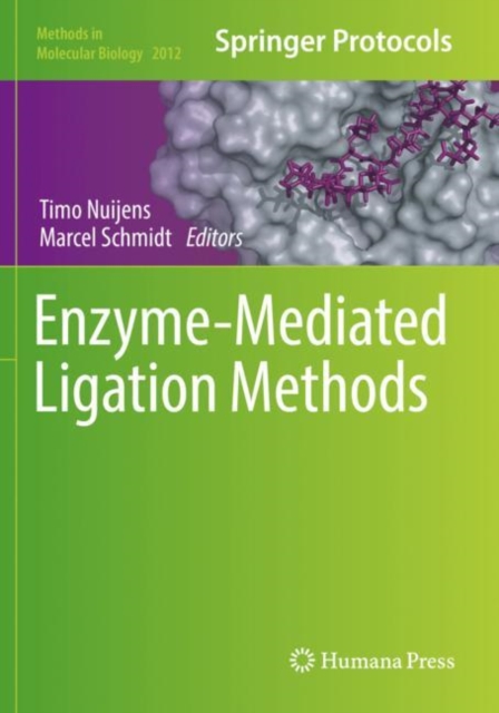 Enzyme-Mediated Ligation Methods