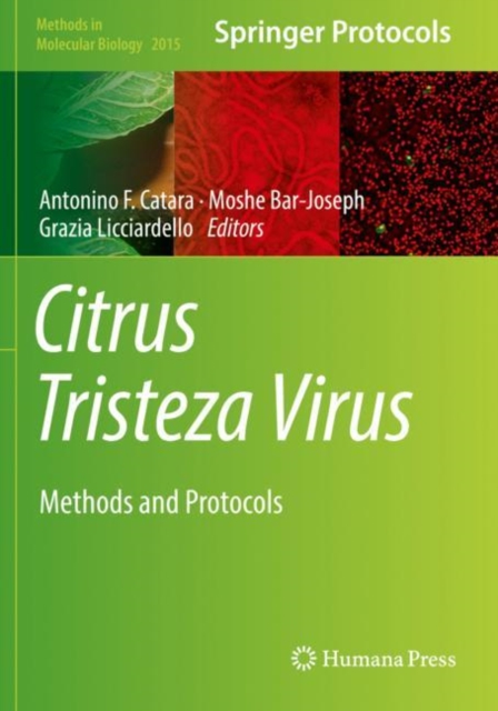 Citrus Tristeza Virus