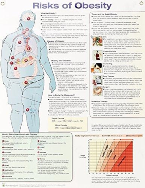 Risks of Obesity Anatomical Chart Laminated