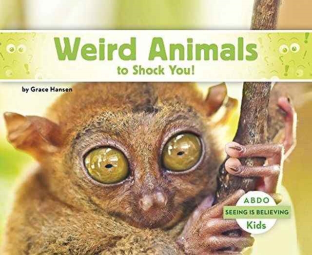 Weird Animals to Shock You!