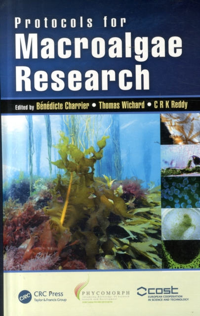 Protocols for Macroalgae Research