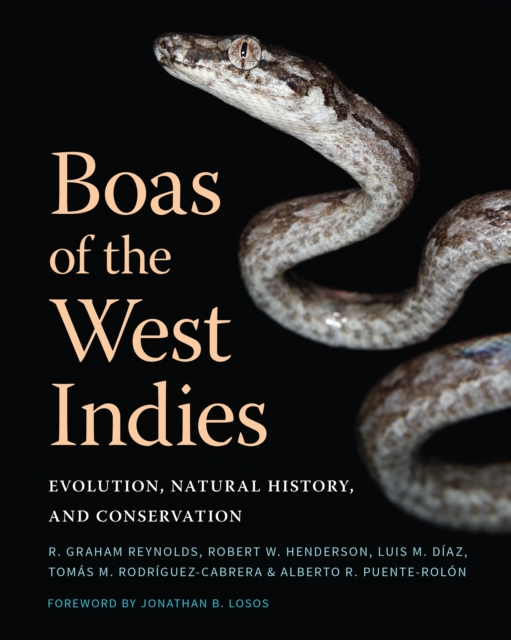 Boas of the West Indies
