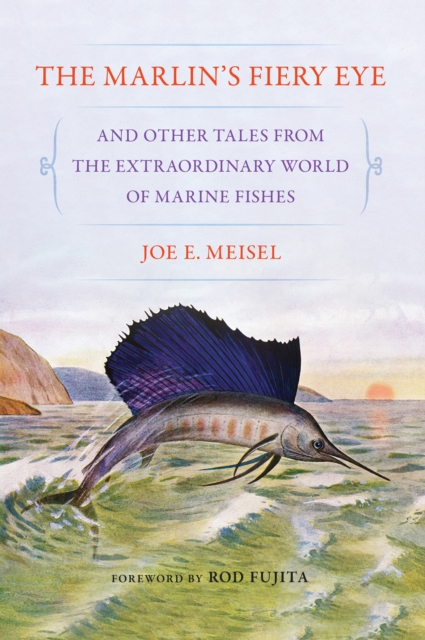 Marlin's Fiery Eye and Other Tales from the Extraordinary World of Marine Fishes