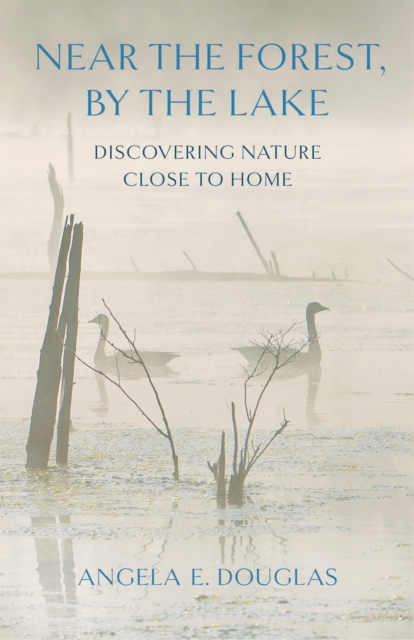 Near the Forest, by the Lake