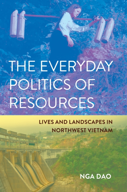 The Everyday Politics of Resources