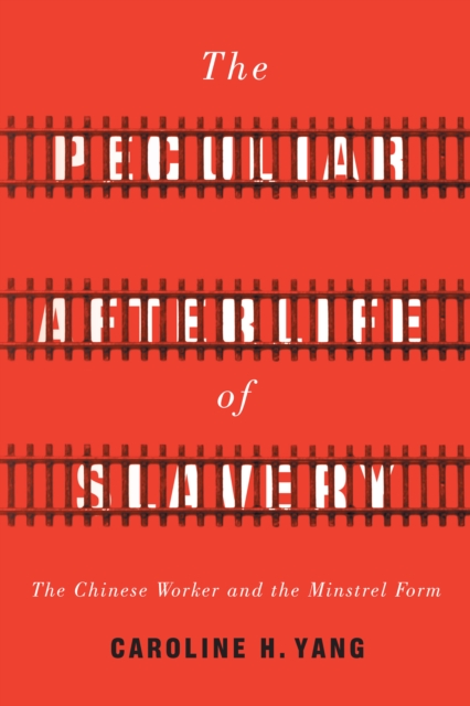 Peculiar Afterlife of Slavery