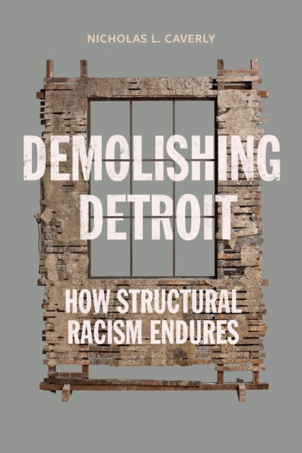 Demolishing Detroit
