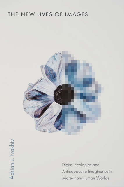 The New Lives of Images