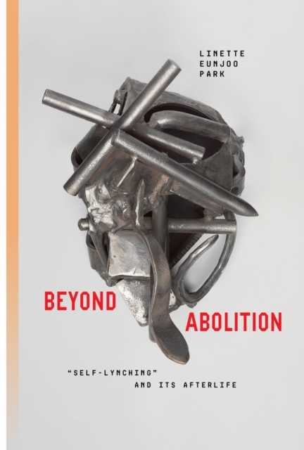 Beyond Abolition