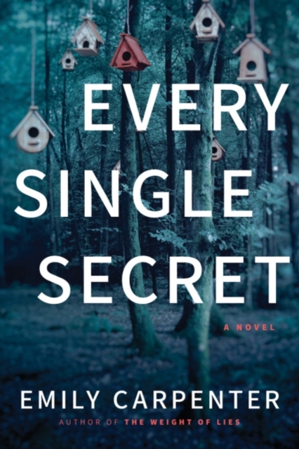 Every Single Secret