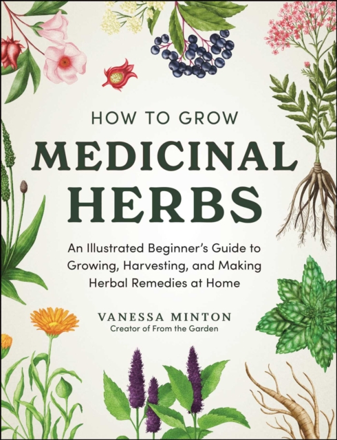 How to Grow Medicinal Herbs